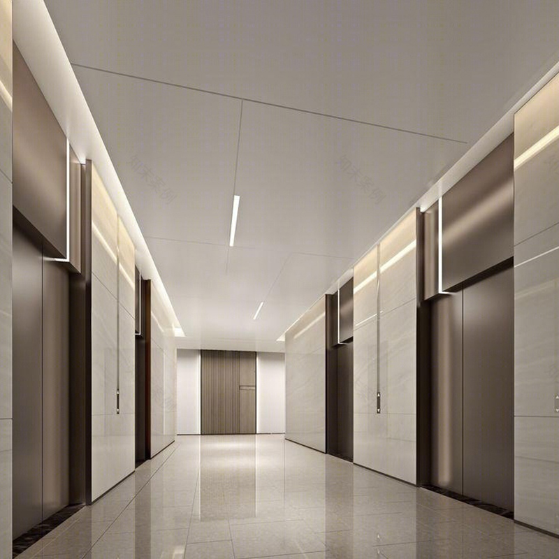 Traction Passenger Elevator